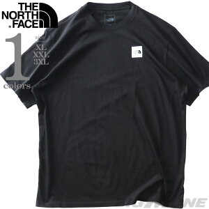 �傫���T�C�Y �����Y THE NORTH FACE �m�[�X�t�F�C�X �v�����g ���� T�V���c S/S BOX LOGO TEE USA���A�� nf0a8apw-ky4