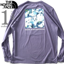 大きいサイズ メンズ THE NORTH FACE ノースフェイス プリント 長袖 Tシャツ BOX NSE TEE USA直輸入 nf0a811n-ian