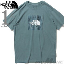 大きいサイズ メンズ THE NORTH FACE ノースフェイス プリント 半袖 Tシャツ SS BOXED IN TEE USA直輸入 nf0a475a-a9l