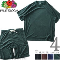 大きいサイズ メンズ FRUIT OF THE LOOM フルーツオブザルーム 半袖 パイル ルームウェア 上下セット 春…
