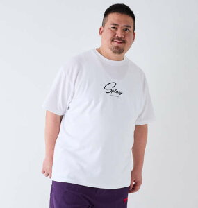 �傫���T�C�Y �����Y BEAUMERE T/C �V�� ���򃉃o�[�v�����g ���� T�V���c �z���C�g 1278-4575-1 3L 4L 5L 6L 8L