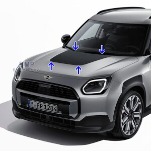 y11/4 20IGg[{XܓōőP10{IzBMW MINI  U25 fJ[ XebJ[ Heritage we[W Jg[}