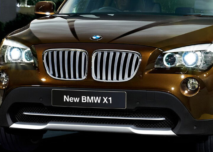 楽天市場】BMW 純正 E84 X1 チタングリル セット 2.5xi仕様 キドニー 