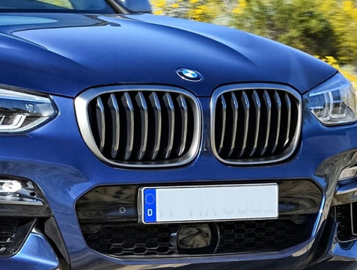 楽天市場】BMW 純正 G01 X3 G02 X4 M40iX 前期 キドニー グリル セット 