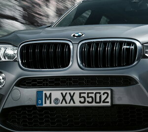 y11/4 20IGg[{XܓōőP10{IzBMW  F85 X5M W N[ Lhj[ O Zbg