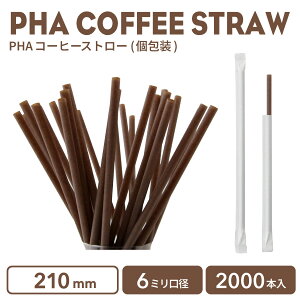 y Xg[ GRXg[ z 6mma 210mm PHAGRR[q[Xg[  2000{