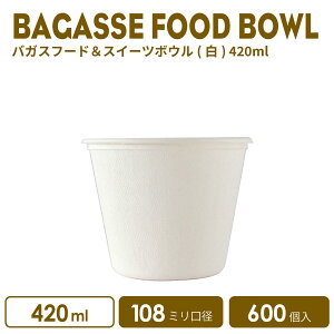 y Jbv t[hJbv z 16IX oKXt[hXC[c{E ()600  eCNAEg e GRe ĝăJbv pv[h Ƃ TgELr ɂ₳