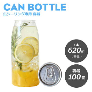 hN  eCNAEg ʃV[Oe 620ml ~^ 100 V[gP[L P[L eB~X mَq aَq XB[c XB[ce P[Le fU[g Ɩp ʃ{g