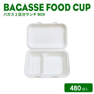 y eCNAEg e@Hie z oKXt[he oKX2敪`BOX 480  eCNAEg GRe ĝăJbv pv[h Ƃ TgELr ɂ₳ J