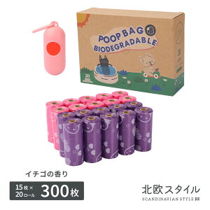 ybg 񂿑܁ykX^CzG`Pbg ybg   ()20[ z_t C`S̍ ybg gC U ĝ SDG TXeBiu E` gC