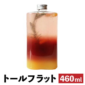 hN{g   eCNAEg 460ml  g[tbg t^t 100 ^sIJ {g hN vJbv NAJbv ݕ ^sIJhN NA{g v{g