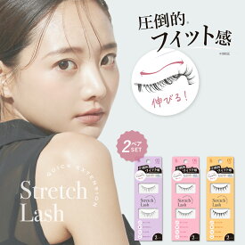 つけまつげ アイラッシュ 2ペアセット 透明軸 つけま伸縮 伸びる 縮む やわらかい軸 チクチクしない 繰り返し使える Vivias Stretch Lash ヴィヴィアス マツエクのような仕上がり 【BN ビーエヌ公式】