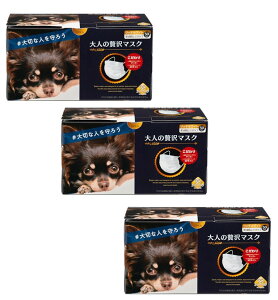 lґ}XN 50 zCg jp ӂTCY×3y3Zbgz cY