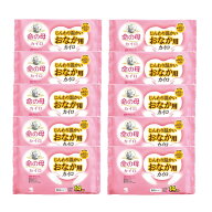 小林製薬 命の母 カイロ じんわり温かい おなか用カイロ 10個入×10【10個セット】 生理痛 PMS 低温カイロ