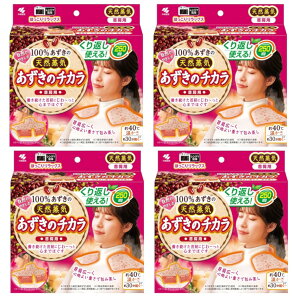 ̃`J 񌨗p 100% ̓VRC 250×4y4Zbgz `ĂԂg ѐ  ݌ɏ Z[ 