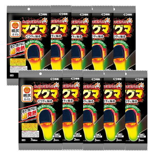 ߂ቷJC }O} Cp ɓ\  3×10y10Zbgz jp  w JC ѐ