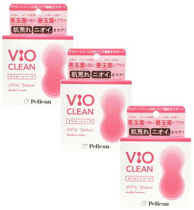 yJΌ VIO CLEAM fP[g\[v 80g×3y3Zbgz VIO L jIC r fP[g][