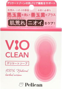 yJΌ VIO CLEAM fP[g\[v 80g VIO L jIC r fP[g][