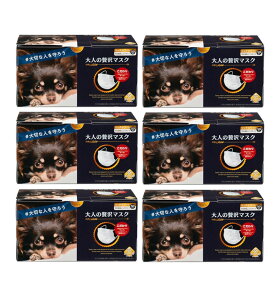 lґ}XN 50 zCg jp ӂTCY×6y6Zbgz cY