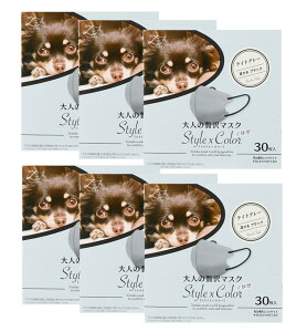 lґ}XN Style×Color CgO[ 30×6y6Zbgz cY  N[ j  jp