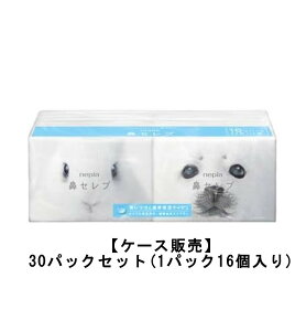 lsA @Zu |PbgeBbVy[p[ 16P×30ܓyP[X̔z {bNXeBbV eBbVy[p[