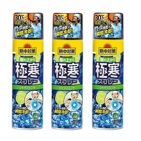 熱中対策 服の上から極寒スプレー シトラスミント 330ml ×3【3個セット】送料無料 冷感スプレー 冷え 汗 ジェット冷気 瞬間冷却