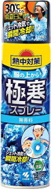 熱中対策 服の上から極寒スプレー 無香料 330ml 冷感スプレー 冷え 汗 ジェット冷気 瞬間冷却