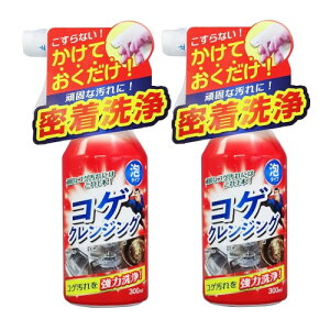 Fa Tipofs RQNWO 300ml ×2y2Zbgz  RQƂ O  ܓ |