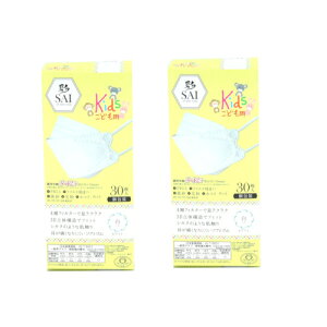 sDz }XN  ]SAI]3D J[}XN LbYTCY 30×2y2Zbgz JISKiK ʕ3D̃}XN _Ch^ qp c