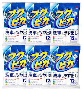 \tg99 SOFT99 tNsJ bNX &c 12×6y6Zbgz ԓhʗp