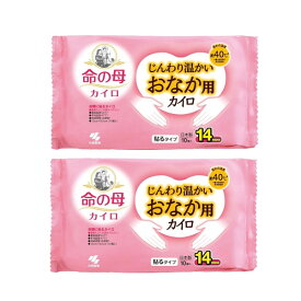 小林製薬 命の母 カイロ じんわり温かい おなか用カイロ 10個入×2【2個セット】送料無料 生理痛 PMS 低温カイロ