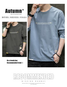 tVc Y  TVc tVc M-5XL eB[Vc n 100   Rbg wr[EFCg  I[o[TCY rbOVGbg ƒ