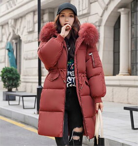 OR[g fB[X H~   O GR[g _EWPbg n[tR[g _ER[g ~  g  h ۉ AEghA Lv