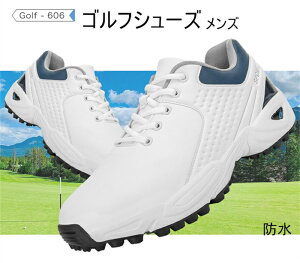 StV[Y \tgXpCN Y St XpCNV[Y@YV[Y@ɂ@h@AEghA@3F