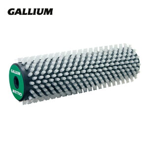 GALLIUMkKE uVlguV iCn[hkNHl SP3110 Xm{ Xm[{[h