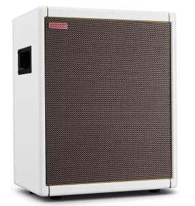 Positive Grid Spark CAB Powered �M�^�[�A���v �X�s�[�J�[ �L���r�l�b�g Spark�V���[�Y�A���v ���� �y�� ���f���[�Ȃ� USB �u���b�N