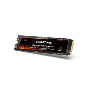 GIGASTONE HPC Computing M 2 SSD 1TB PCIe 4 0 NVMe �z�X�g�������o�b�t�@�L���b�V���������x �R�[�f�B���O �r�b�O�f�[�^�W��^���[�N���[�h5000MB s