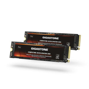 GIGASTONE HPC Computing M 2 SSD 1TB PCIe 4 0 NVMe �z�X�g�������o�b�t�@�L���b�V���������x �R�[�f�B���O �r�b�O�f�[�^�W��^���[�N���[�h5000MB s