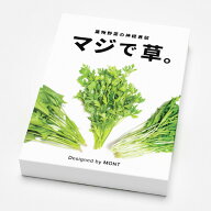 送料無料［マジで草。］MONT （モント）ボードゲーム カードゲーム パーティーゲーム