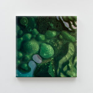 s܏ UMLAB ރ{ LoXvgucosmossvƁhTTL WyCh