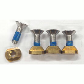 M8 25mmスクリュー4個セット ネジ Tナット 六角ボルト ジョイント パーツ 接合 金具 フォイル フォイルボード SUPフォイル カイトフォイル ウイングフォイル サーフフォイル メール便対応