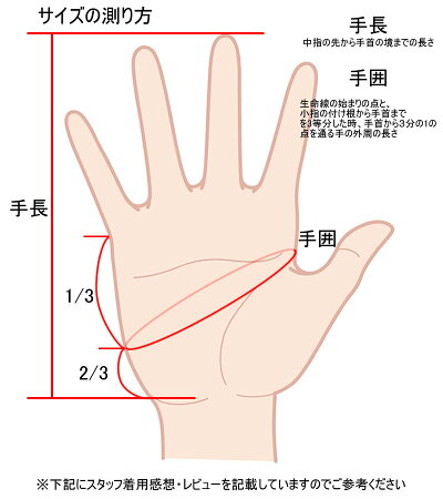 楽天市場 即出荷 Spyderflex Surf Gloves スパイダーフレックス サーフグローブ スキンタイプ Sgl 392 サーフィン Sup メール便対応 ボードショップ ｂｒｅａｋｏｕｔ