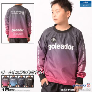 SAh[ Jrg[jOEFA [g-2484k WjA؃x[VbNsXegbv] goleador tbgT EFA yzylR|XΉzyPiiz