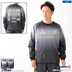 SAh[ sXe [g-2665 plfUCgRbg؃Of[VsXe] goleador tbgT EFA yzylR|XΉzyPiiz