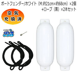 ��C�[�U�� �{�[�g�t�F���_�[ 21cm×68cm 2�{ 2�� M�T�C�Y �u���b�N���[�v(�Б��A�C���H) ���������i���ꌧ�������j �|�C���g����