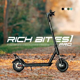 到着後レビューでプレゼント】 電動キックボード 最新 マイナーチェンジモデル RICHBIT リッチビット ES1 Pro 公道走行可 特定小型原付 RICHIBIT 特定小型原動機付自転車