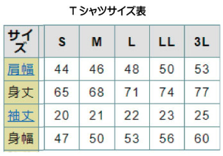 楽天市場 郵送は送料無料 冷やし中華はじめましたｔシャツ つかみはok 半袖 ポリエステル100 文字 おもしろ 面白 プレゼント メッセージ 子どもに人気 インスタ映え ギャグ お笑い ウケる おもしろグッズの店ぼ びっく