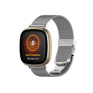 Fitbit Versa 4 Sense 2 EFAu[EX}[gEHb`  oh IV XeX rvxg p xg ւxg ȒP u₩ gтɕ֗   x