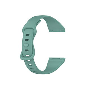 Fitbit Versa 4 Sense 2 EFAu[EX}[gEHb`  oh VRf rvxg X|[c xg p xg ւxg ȒP u₩ gтɕ֗   