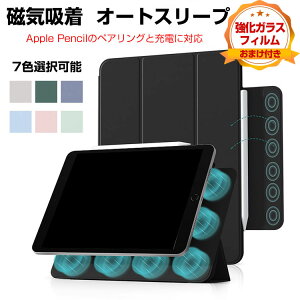 Abv ACpbh Apple iPad 10.9C` 10 2022f 蒠^ U[  I[gX[v CASE ₷ h~ y ɔ X^h@\ Cz GK  蒠^